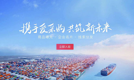 概述什么是搜索引擎优化